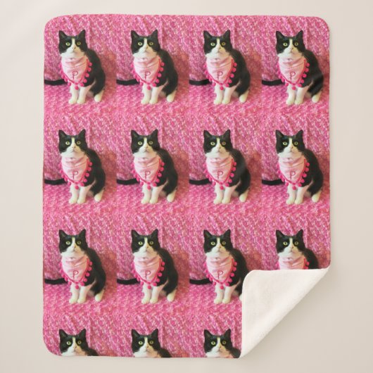 Pfirsiche Tuxedo Cat Medium Sherpa Blanket Sherpadecke (Vorderseite)