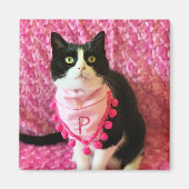 Pfirsiche Tuxedo Cat Pink Magnet (Vorne)