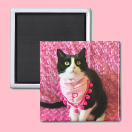 Pfirsiche Tuxedo Cat Pink Magnet