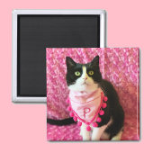 Pfirsiche Tuxedo Cat Pink Magnet