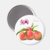 Pfirsiche und Wasserfarbenmalerei Magnet (Vorderseite/Rückseite)