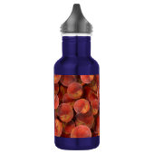 Pfirsiche Wasserflasche (Links)