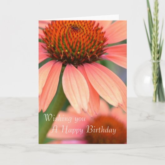 Pfirsichechinacea-Blumen-Karte Karte (Vorderseite)