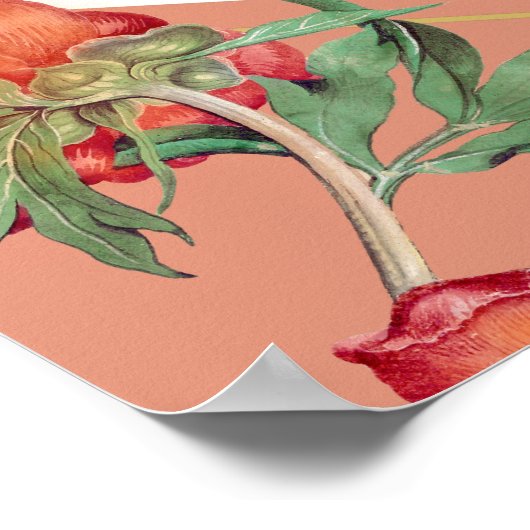 Pfirsichfarbene Blume Hochzeitsdiagramm Poster (Ecke)