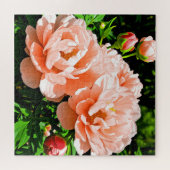 Pfirsichfarbene Pfingstrosenblüten Puzzle (Horizontal)