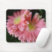 Pfirsichfarbene rosa Gänseblümchen Mousepad (Mit Mouse)