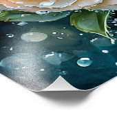 Pfirsichfarbene Rose Fotodruck (Ecke)