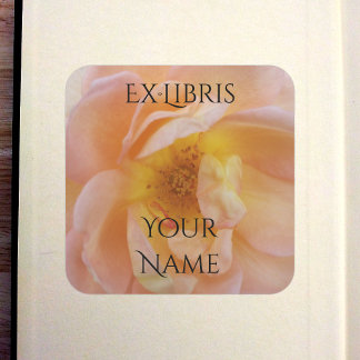 Pfirsichfarbene Rosen-Exlibris Quadratischer Aufkleber