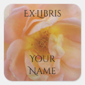 Pfirsichfarbene Rosen-Exlibris Quadratischer Aufkleber (Vorderseite)