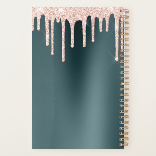 Pfirsichgrüne Glitzer-Tropfen Planer (Rückseite)