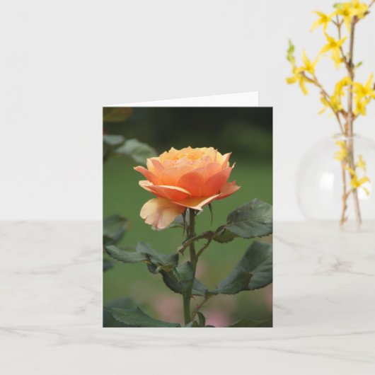Pfirsichnotecard Karte (Gelbe Blume)