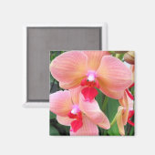 Pfirsichorchiale - Magnet (Vorderseite/Rückseite)