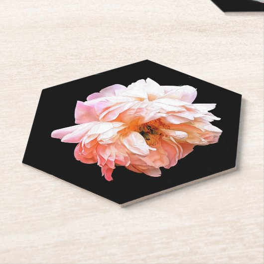 Pfirsichpferde Untersetzer (angewinkelt)