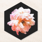 Pfirsichpferde Untersetzer (Vorderseite)