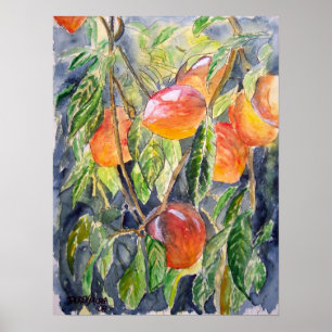 Pfirsichpfirsich-Stilllebenkunst Poster
