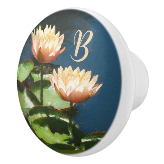 Pfirsichrosa blauer Floral Monogramm-Schublade Keramikknauf (Rechts)