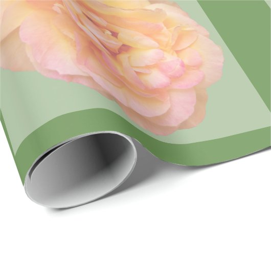 Pfirsichrosa Gelbe Rose Design auf grünem Hintergr Geschenkpapier (Rolleneckpunkt)