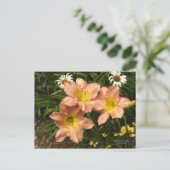 Pfirsichrosa mit gelben Rachen Taglilie Blume Postkarte (Stehend Vorderseite)