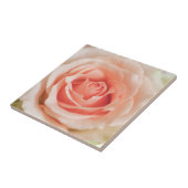 Pfirsichrosa Rose Hintergrund - angepasste Vorlage Fliese (Seite)