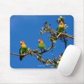 Pfirsichschwanz Mousepad (Mit Mouse)