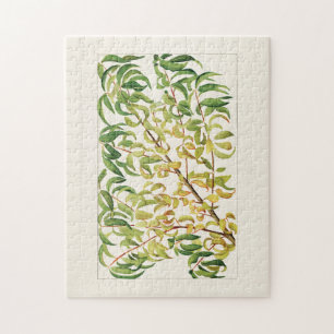 Pfirsichzweig (Prunus Persica) Puzzle