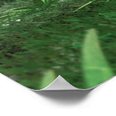 PFLANZE 2 LEINWAND POSTER (Ecke)