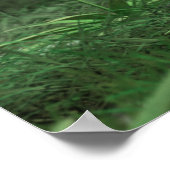 Pflanze 3 Poster (Ecke)