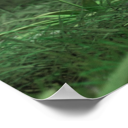 Pflanze 3 Poster (Ecke)