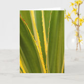 Pflanze Abstrakt Karte (Gelbe Blume)