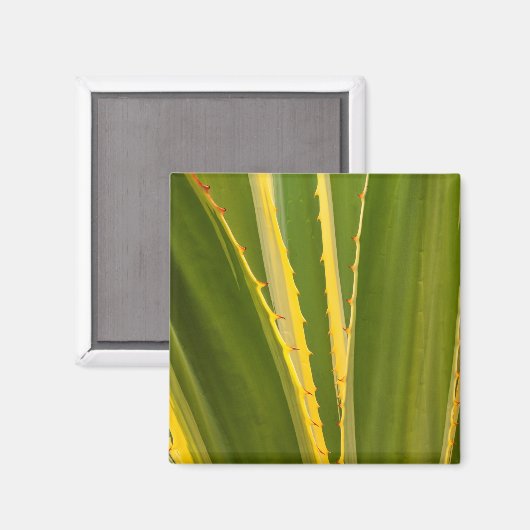 Pflanze Abstrakt Magnet (Vorderseite/Rückseite)