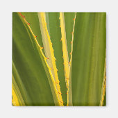 Pflanze Abstrakt Magnet (Vorne)