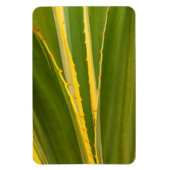 Pflanze Abstrakt Magnet (Vertikal)