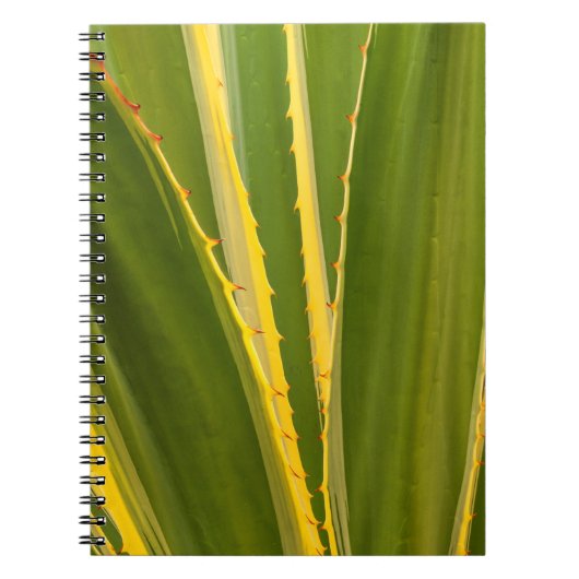 Pflanze Abstrakt Notizblock (Vorderseite)