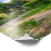 Pflanze Allium Foto Prints (Ecke)