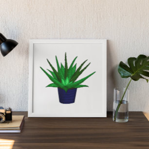 Pflanze Aloe Vera Poster