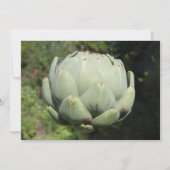 Pflanze Artichoke. Einladung (Vorderseite)