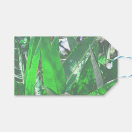 Pflanze aus grünem Blattbanan, pastellfarben Geschenkanhänger