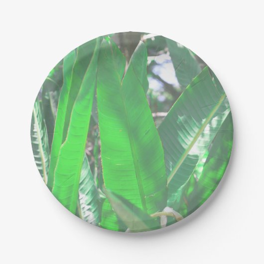 Pflanze aus grünem Blattbanan, pastellfarben Pappteller (Vorderseite)
