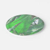 Pflanze aus grünem Blattbanan, pastellfarben Pappteller (Schrägansicht)