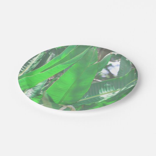 Pflanze aus grünem Blattbanan, pastellfarben Pappteller (Schrägansicht)