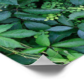 Pflanze aus Kens Garten Poster (Ecke)