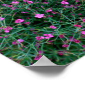 Pflanze aus Kens Garten Poster (Ecke)