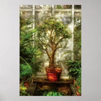 Pflanze - Baum des Lebens Poster