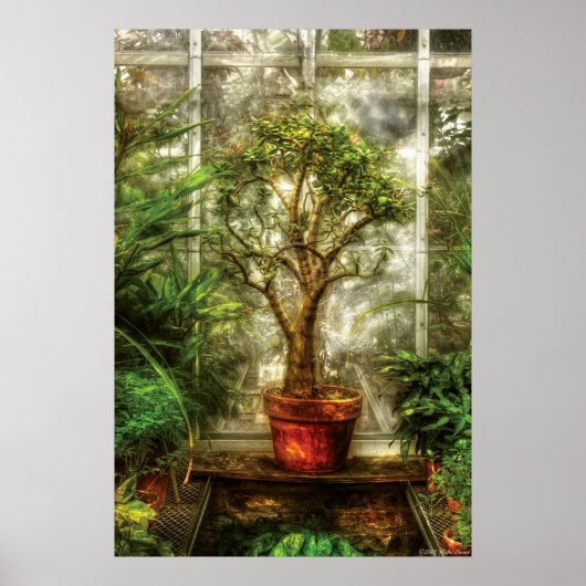 Pflanze - Baum des Lebens Poster (Vorne)