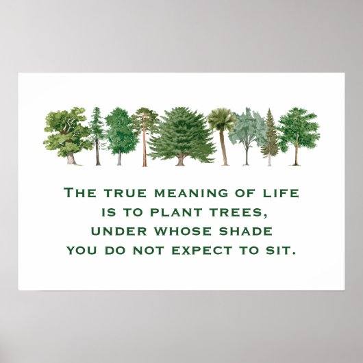Pflanze Bäume Bedeutung des ökologischen Sprichwor Poster (Vorne)