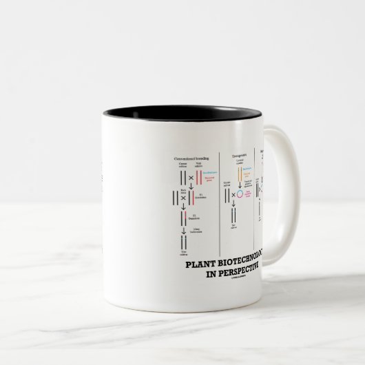 Pflanze Biotechnologie in Perspektive (Transgenese Zweifarbige Tasse (VorderseiteRechts)