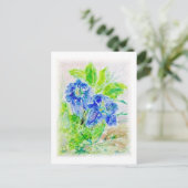 Pflanze blau Blüte Illustration Postkarte (Stehend Vorderseite)