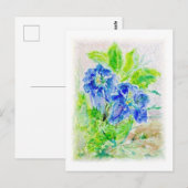 Pflanze blau Blüte Illustration Postkarte (Vorne/Hinten)