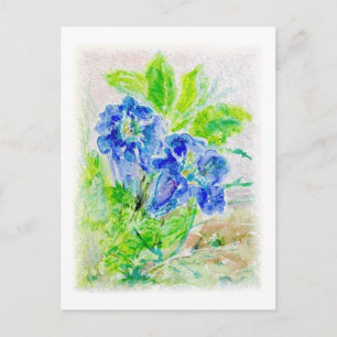 Pflanze blau Blüte Illustration Postkarte