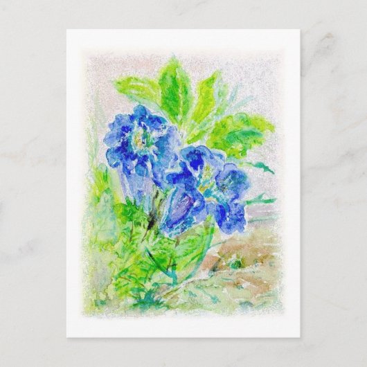 Pflanze blau Blüte Illustration Postkarte (Vorderseite)
